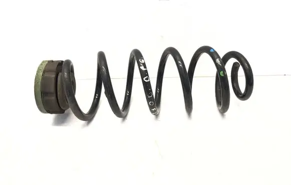 Rear coil spring