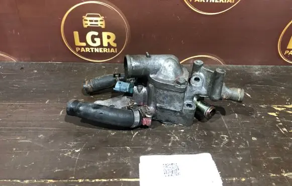 Thermostat/thermostat housing