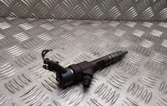 Renault Megane II Fuel injector 8200100272 0445110110B