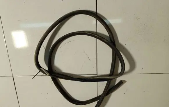 Renault Scenic I Rubber seal front coupe door 