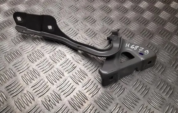 Renault Kangoo III Engine bonnet/hood hinges 654002262R
