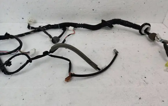 Rear door wiring loom