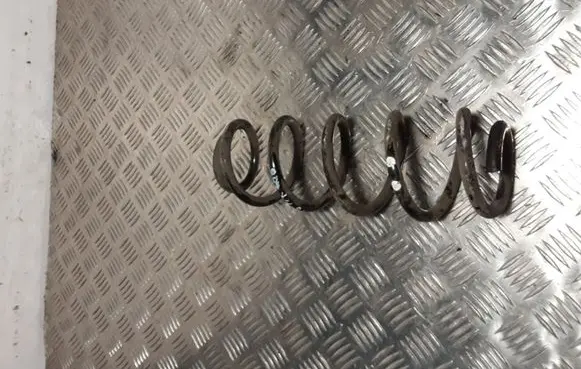 Rear coil spring