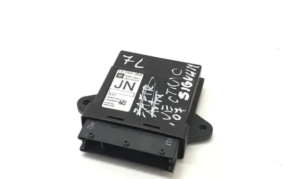 Opel Signum Door control unit/module 13193366 5WK46003H