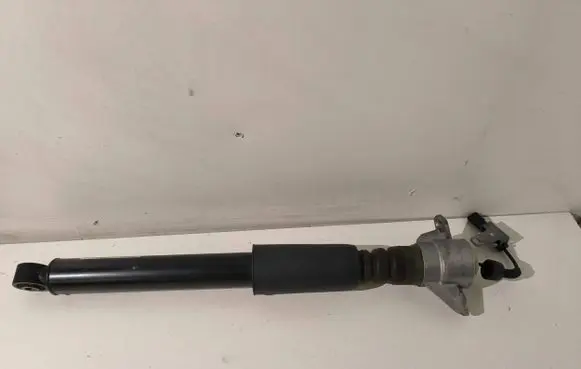 Porsche Macan (95B) Rear shock absorber/damper 95B513035G 462400013703