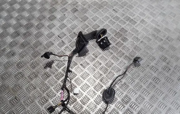 Rear door wiring loom