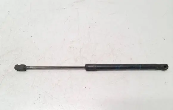 Opel Astra H Tailgate/trunk strut/damper 244638295133