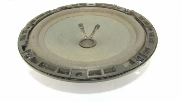 Fiat Doblo Rear door speaker