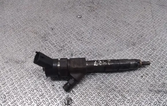 Renault Espace - Grand espace IV Fuel injector 8200100272 0445110110B