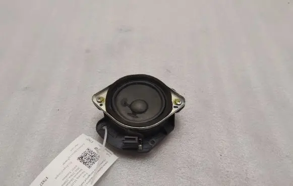 Front door high frequency speaker