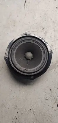 Rear door speaker