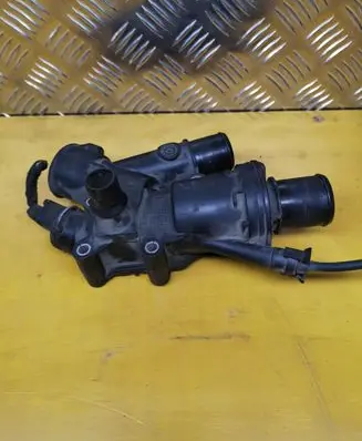Thermostat/thermostat housing