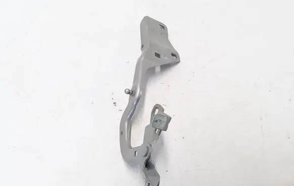 Renault Scenic IV - Grand scenic IV Engine bonnet/hood hinges 654010894R
