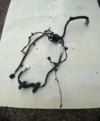 Tesla Model S Front door