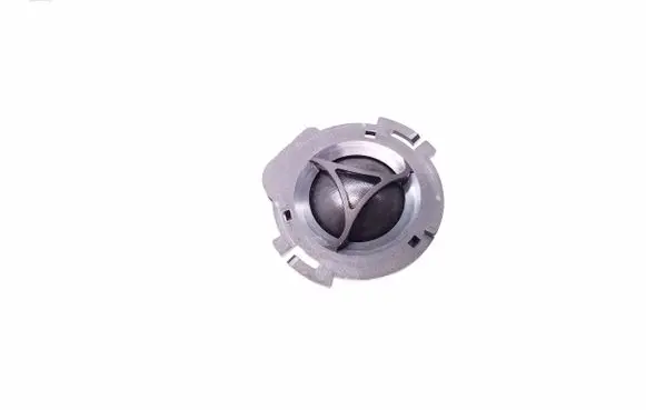 Front door high frequency speaker