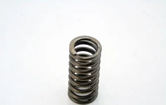 Citroen C5 Valve spring 