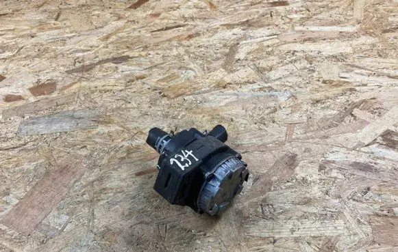 Renault Trafic III (X82) Electric auxiliary coolant/water pump 210100113R