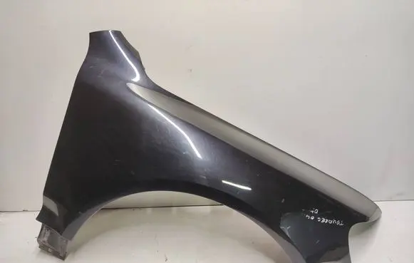 Volkswagen Touareg I Fender