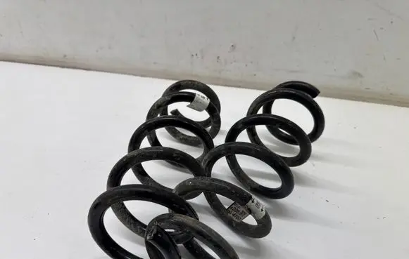 Rear coil spring