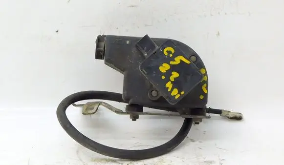 Citroen C5 Accelerator pedal position sensor 194917