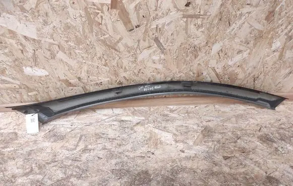 Peugeot 607 Windshield trim 300536