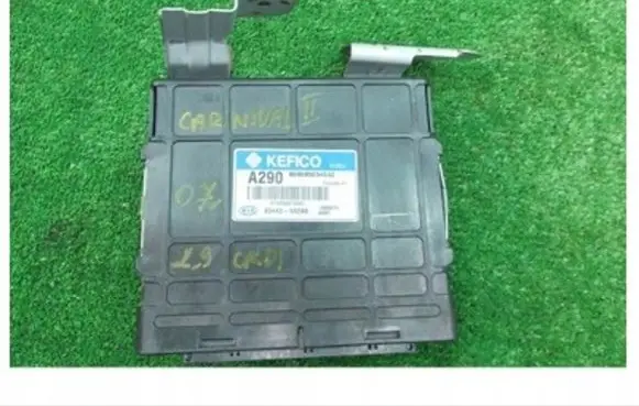 KIA Carnival Other control units/modules 954403A290