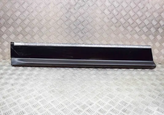 Citroen C6 Front door trim (molding) 