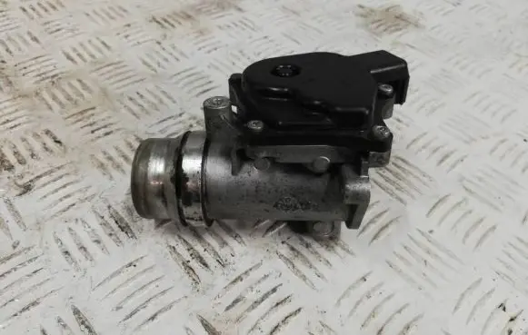 Mercedes-Benz B W246 W242 Engine shut-off valve 161A09287R