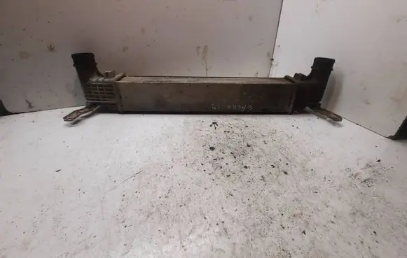 Ford Galaxy Intercooler radiator 132002748a