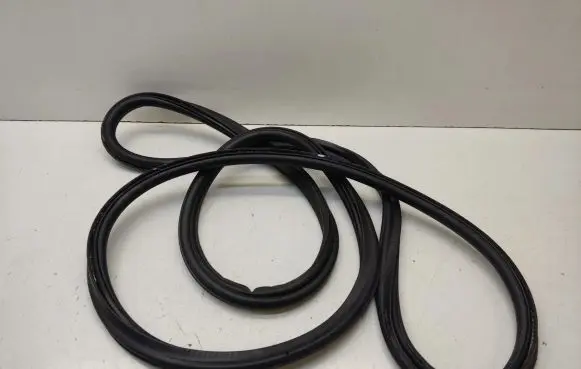 Trunk rubber seal (body)