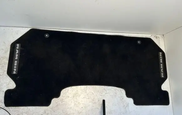 Dodge RAM Rear floor mat 