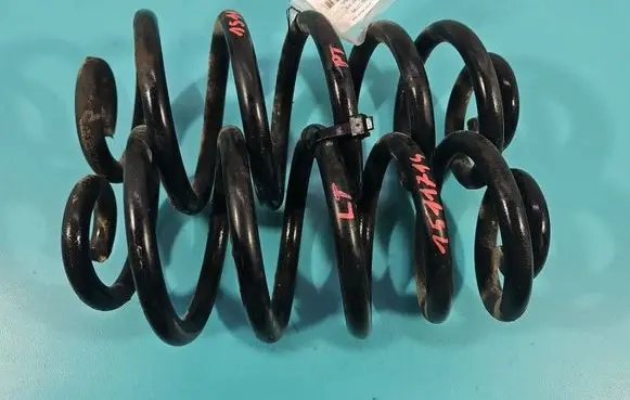 Rear coil spring