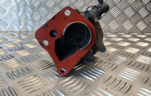Suzuki Grand Vitara II Vacuum pump D163451323