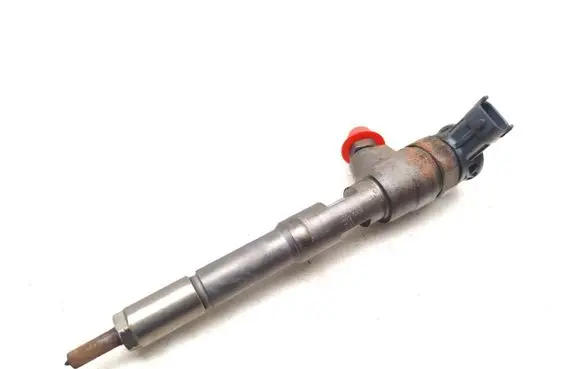 Renault Clio III Fuel injector H8201453073 0445110652