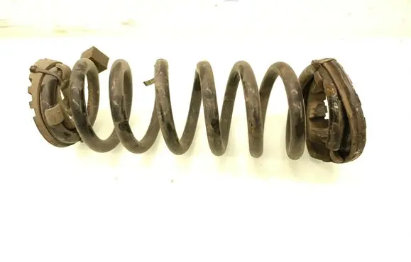 Rear coil spring