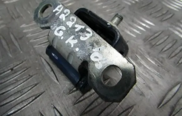 Renault Megane II Rear door lower hinge