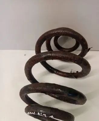 Rear coil spring