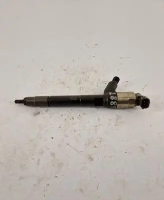Opel Insignia A Fuel injector 55570012