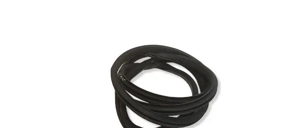 Nissan Juke I F15 Front door rubber seal 