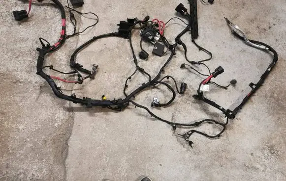Other wiring loom