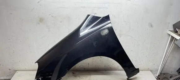 KIA Carens II Fender