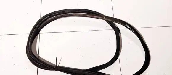 Renault Laguna II Rubber seal rear door 