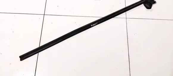 Nissan Quest Rubber seal front coupe door 