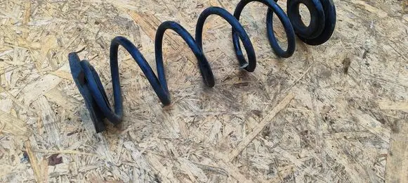 Rear coil spring