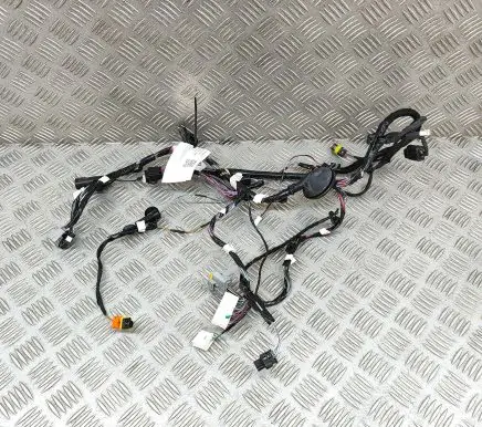 Tesla Model X Other wiring loom 103244290G