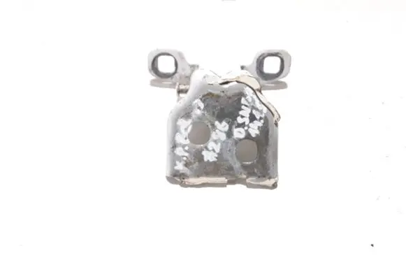 Dacia Sandero Rear door lower hinge