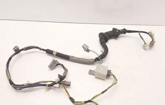 Front door wiring loom