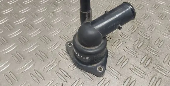 Thermostat/thermostat housing