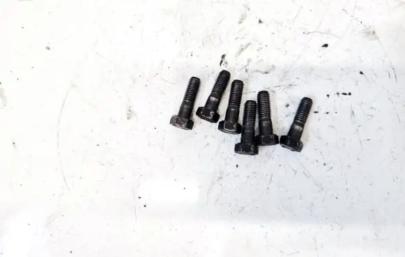Nuts/bolts