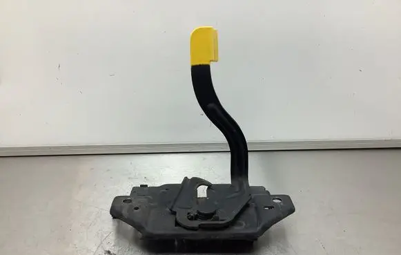 Ford C-MAX II Engine bonnet/hood lock/catch AM5A16700